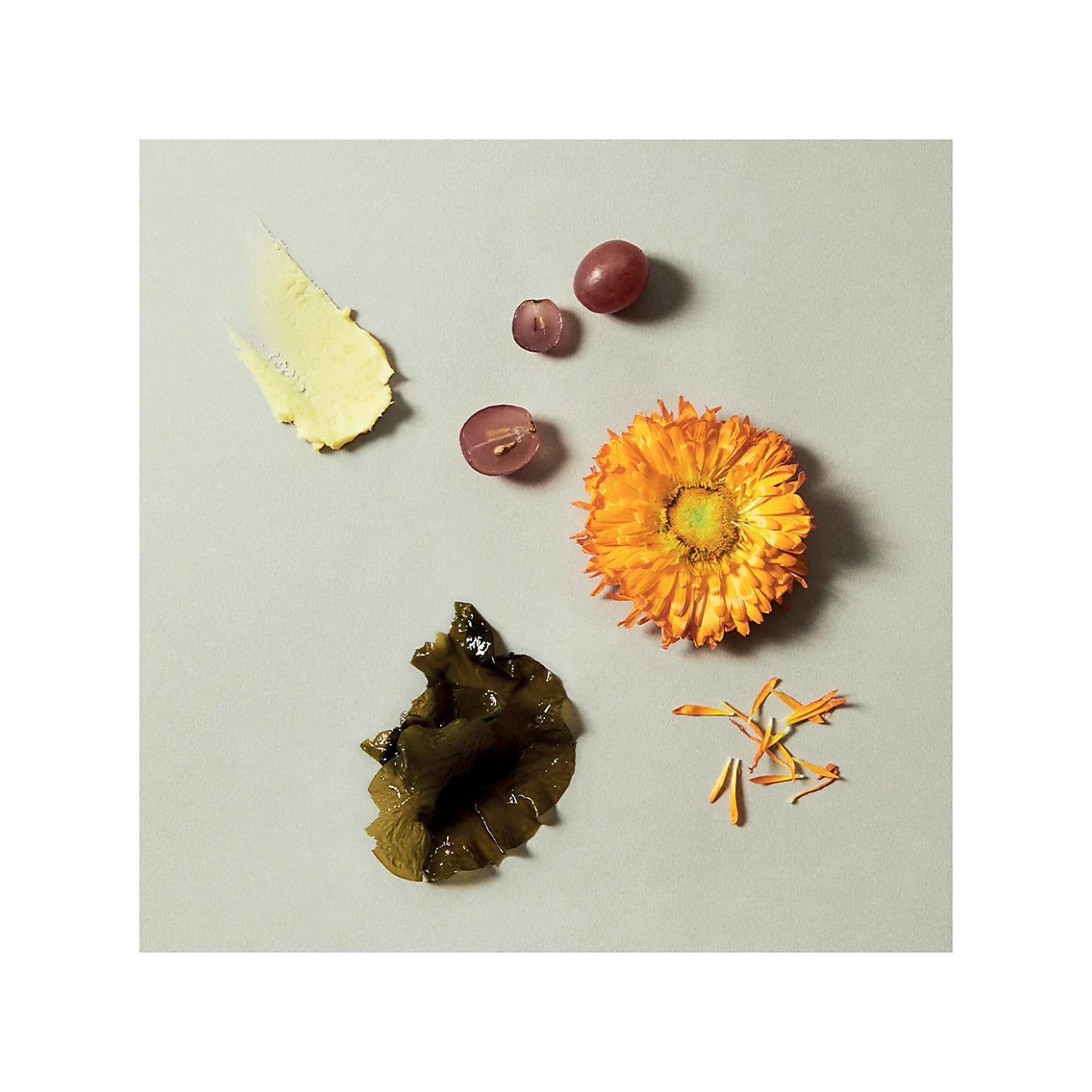 Antioxidant Hand Cream