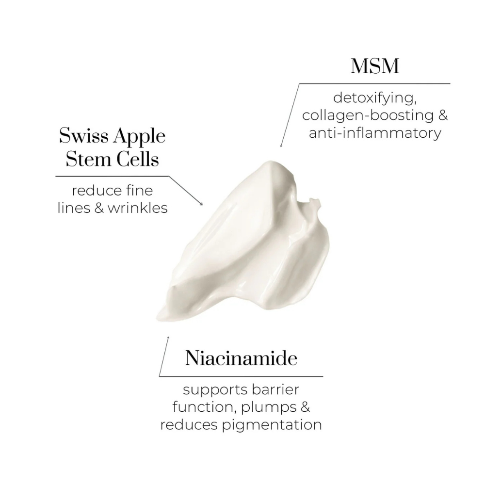 Bedtime Beauty Cream