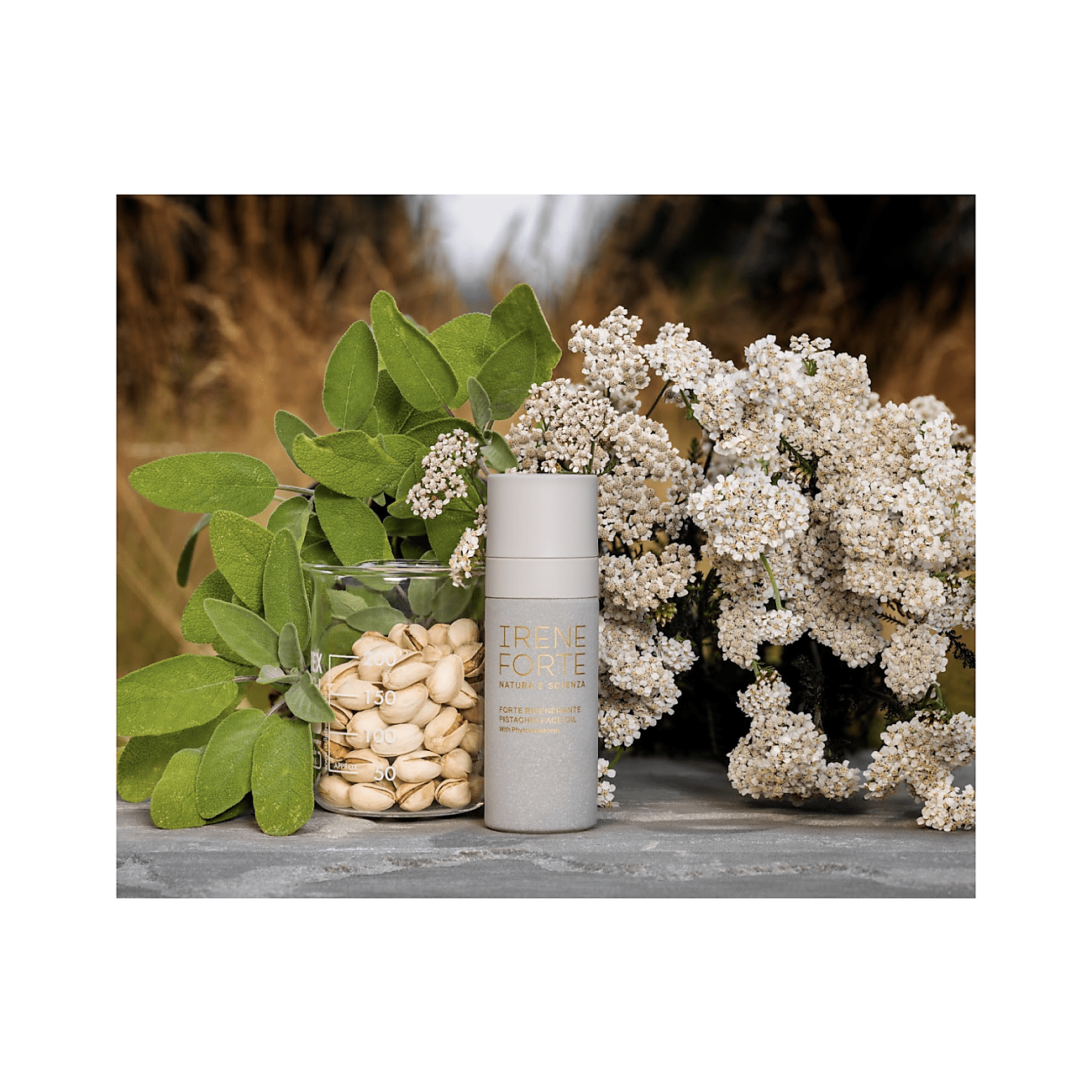 Pistachio Face Oil