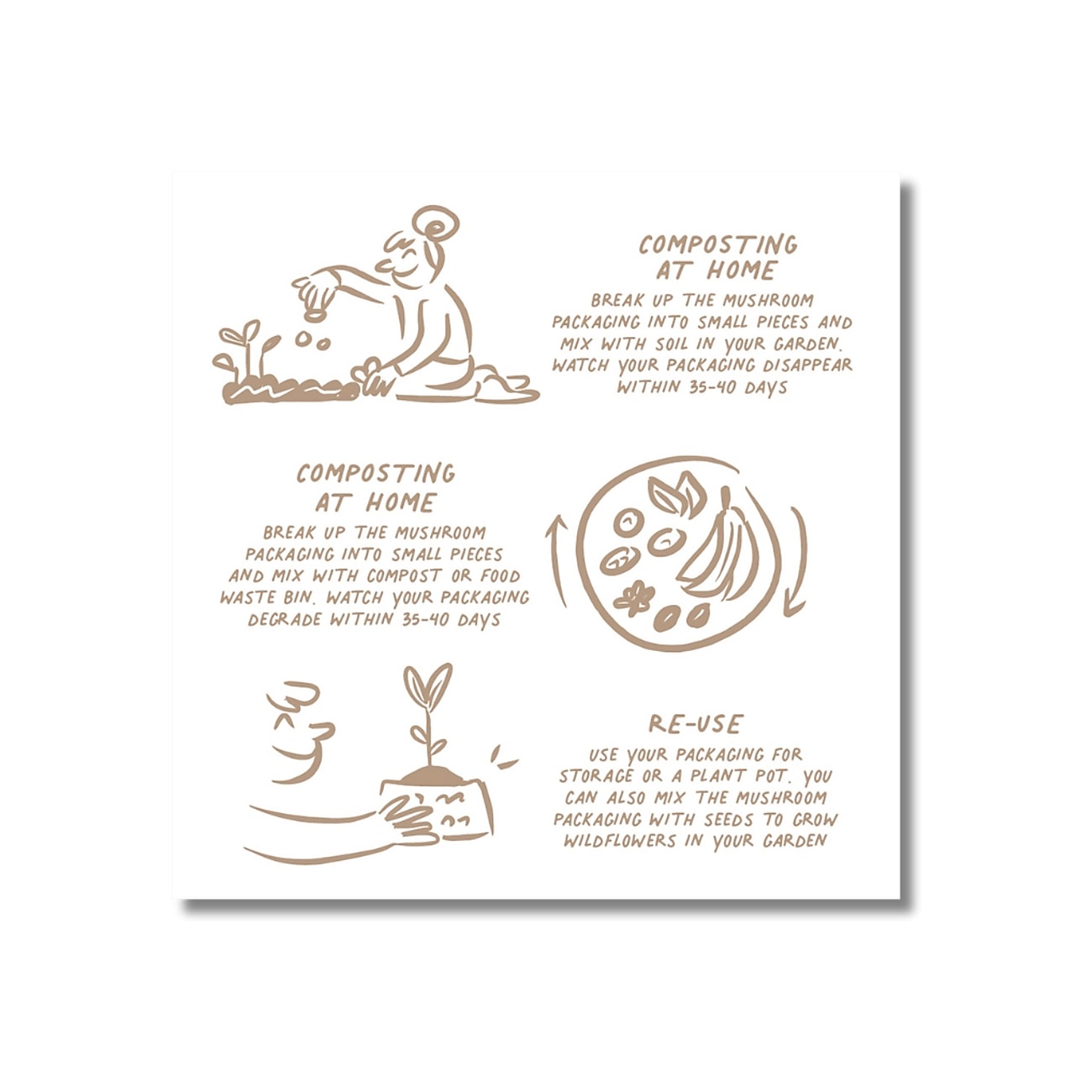 Magic Mushroom Facial Set: Supercharged Glow Serum & Calming Creamy Emulsion