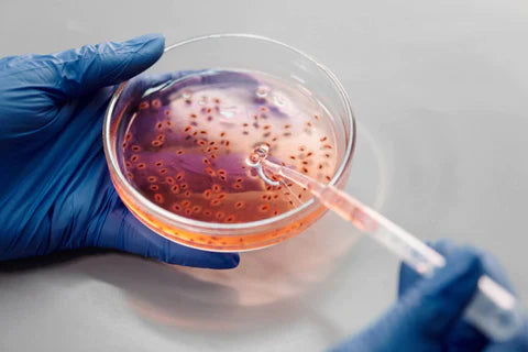 From The Depths Of The Sea : Alteromonas Ferment Extract Benefits, Uses & Top Products