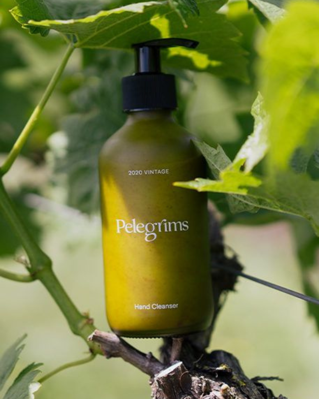 Pelegrims