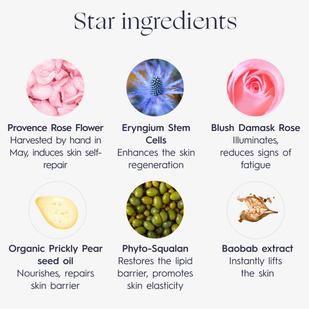 Crème-Masque Éclat à la Rose Extrêmement Nourrissante