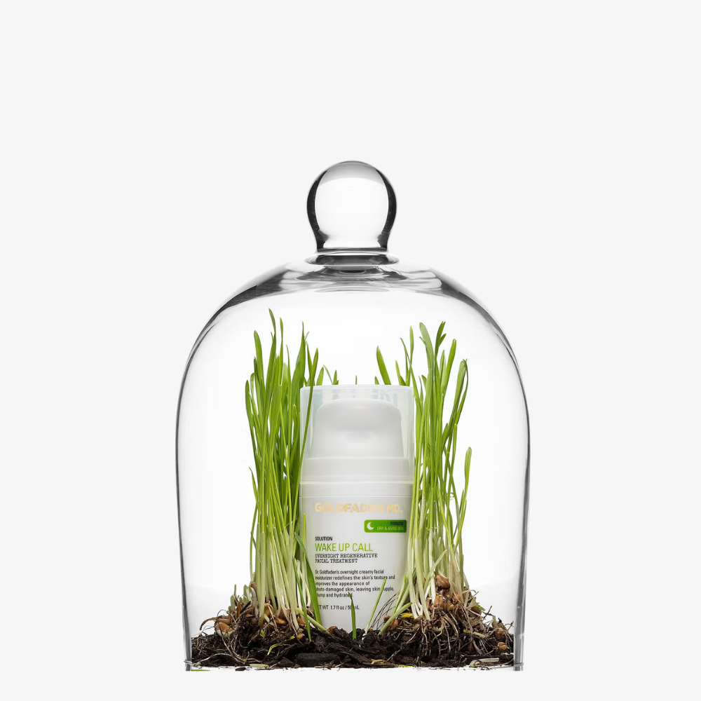 Wake Up Call - Overnight Regenerative Facial Treatment