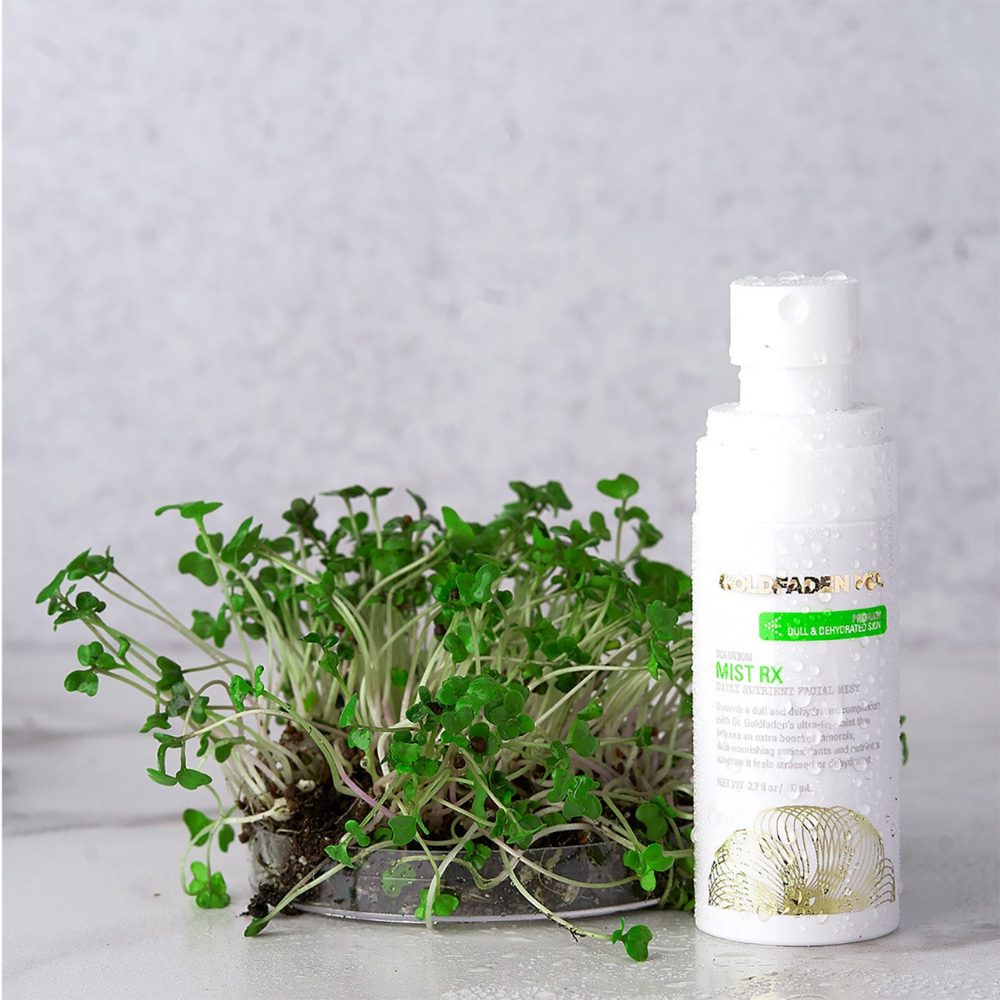Mist RX - Daily Nutrient Facial Mist