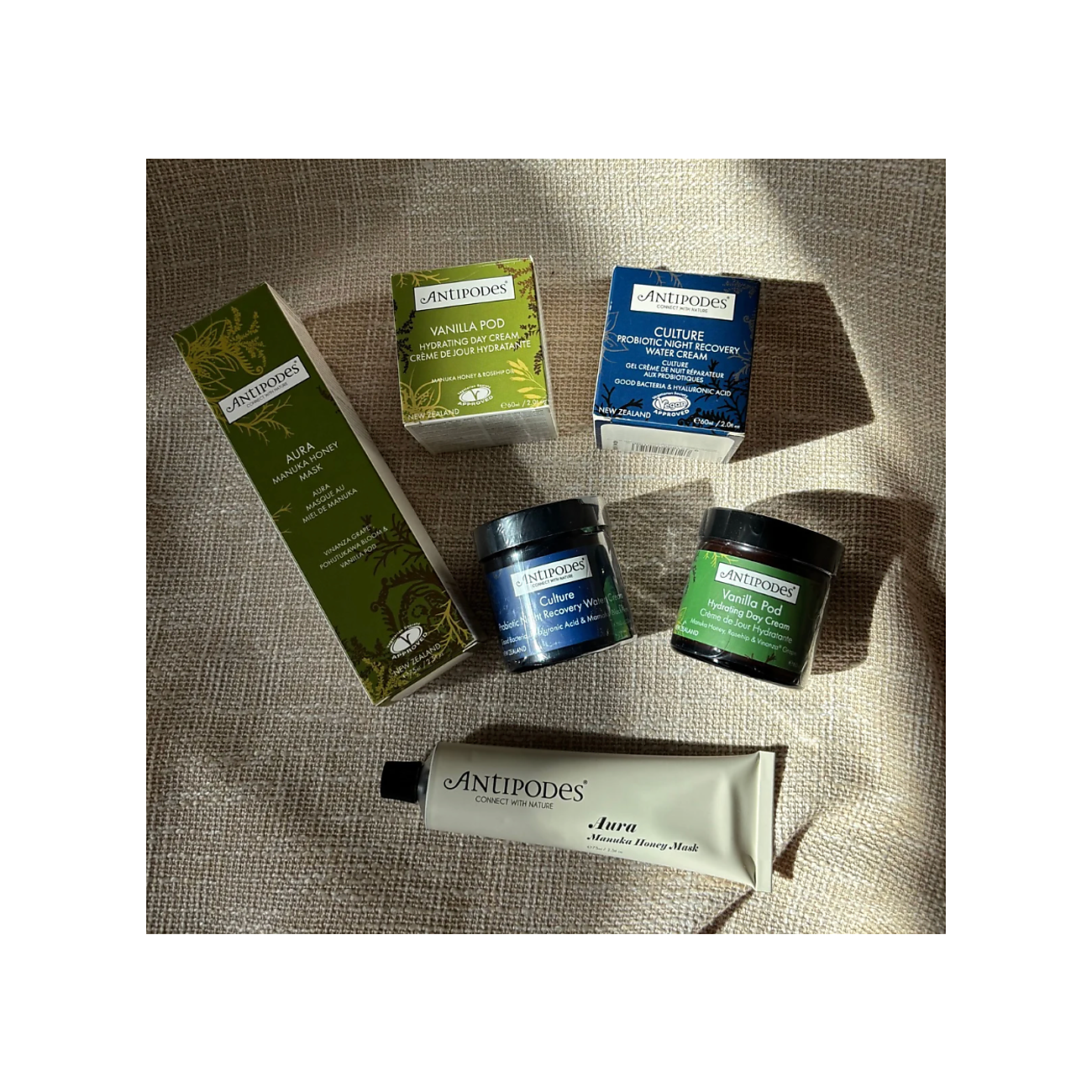 Discovery Box