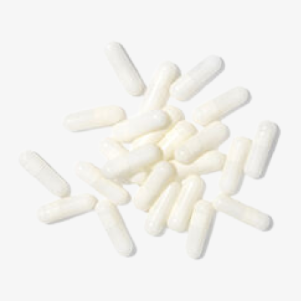 MSM Bio Plus Supplements